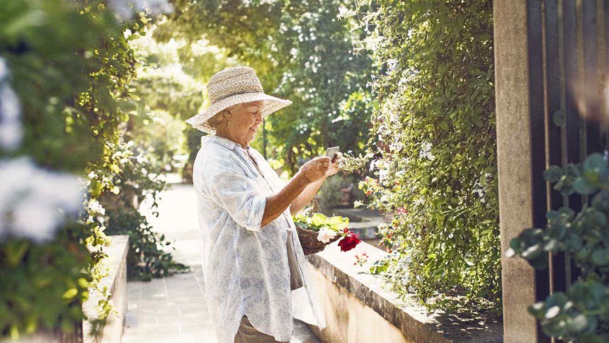 Äldre kvinna plockar blommor i en trädgård