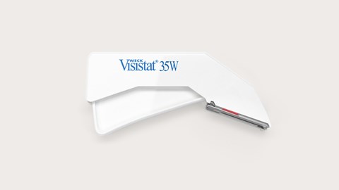 Stapler skórny